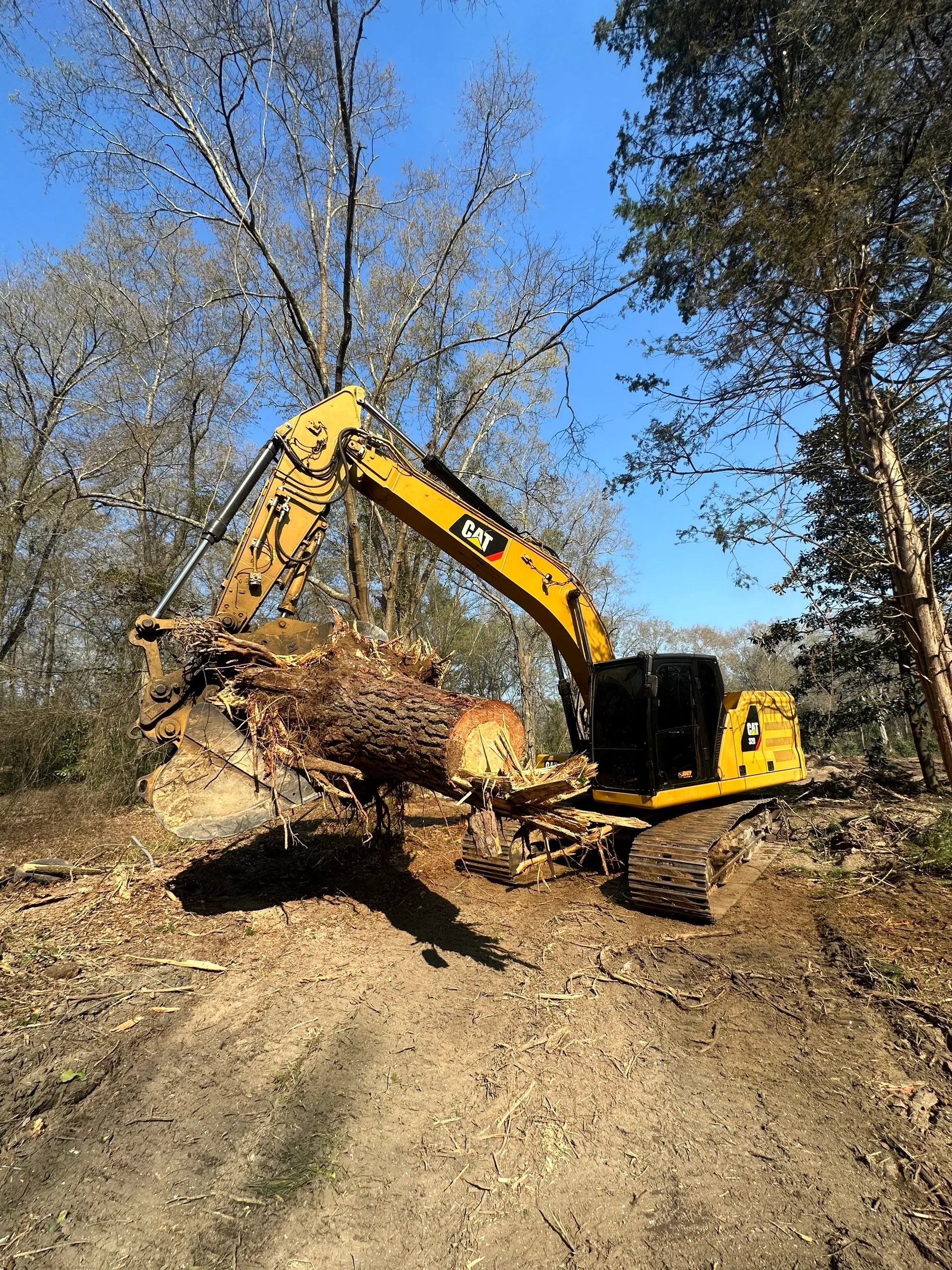 Land clearing project