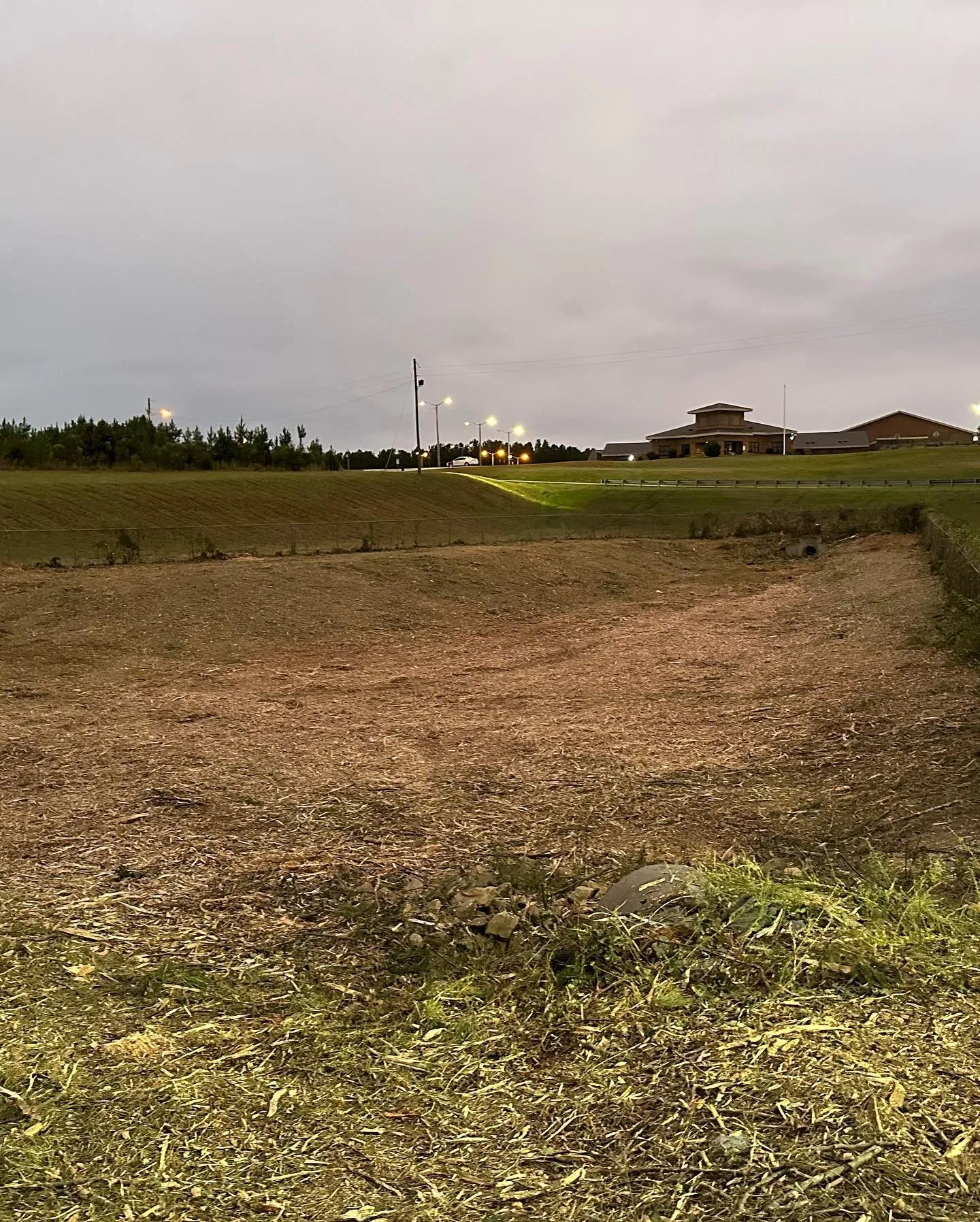 Overgrown property before clearing